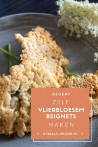 vlierbloesem-beignets-recept