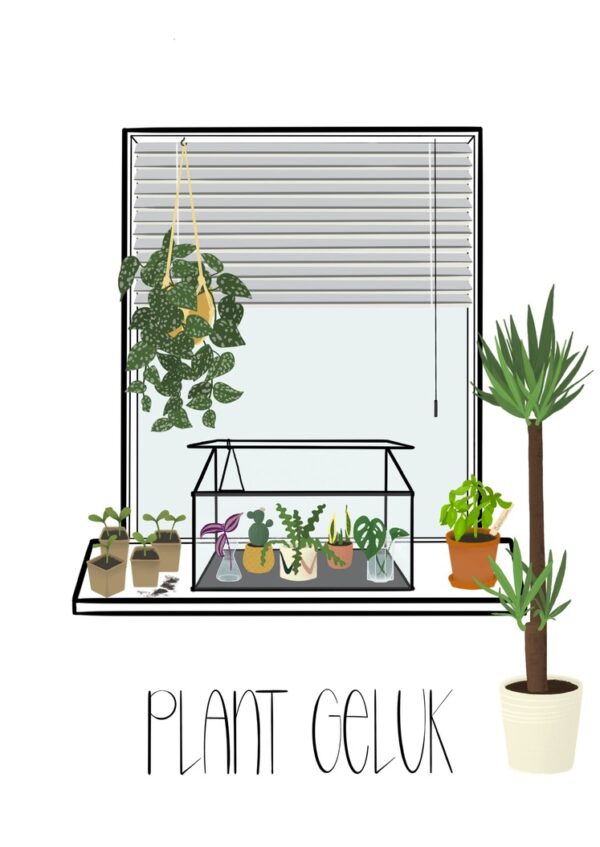 ansichtkaart-planten-plant-geluk