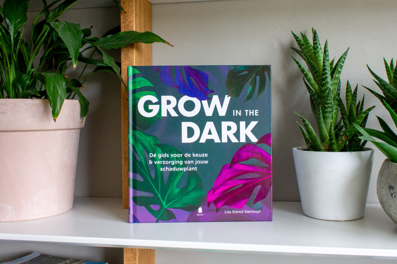 boeken-grow-in-the-dark