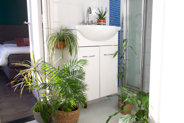 planten-donkere-badkamer