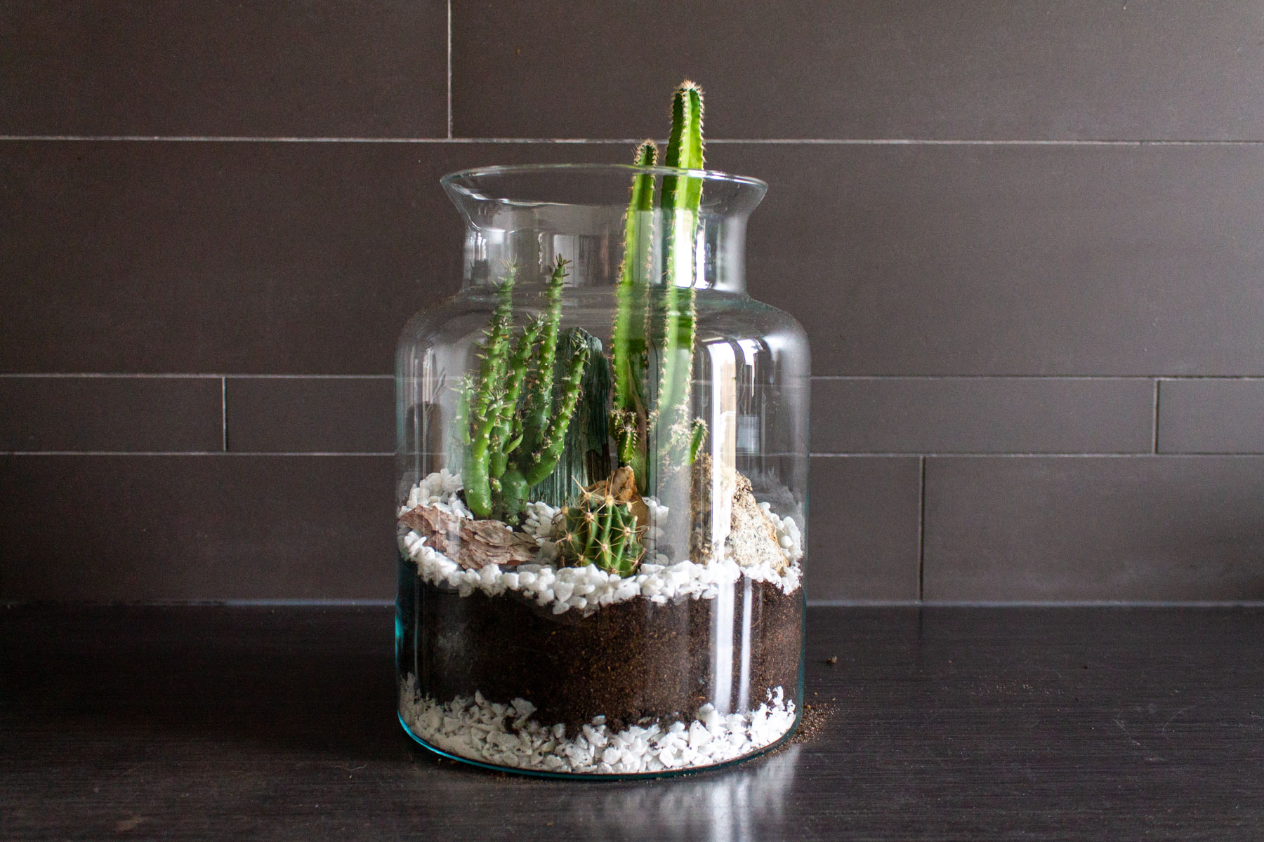 En team consumptie Tolk Open terrarium maken: mini-plantenwereld in glas - Plantleven