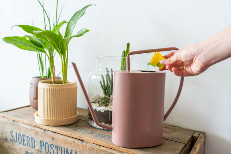kamerplanten-voeding-mest
