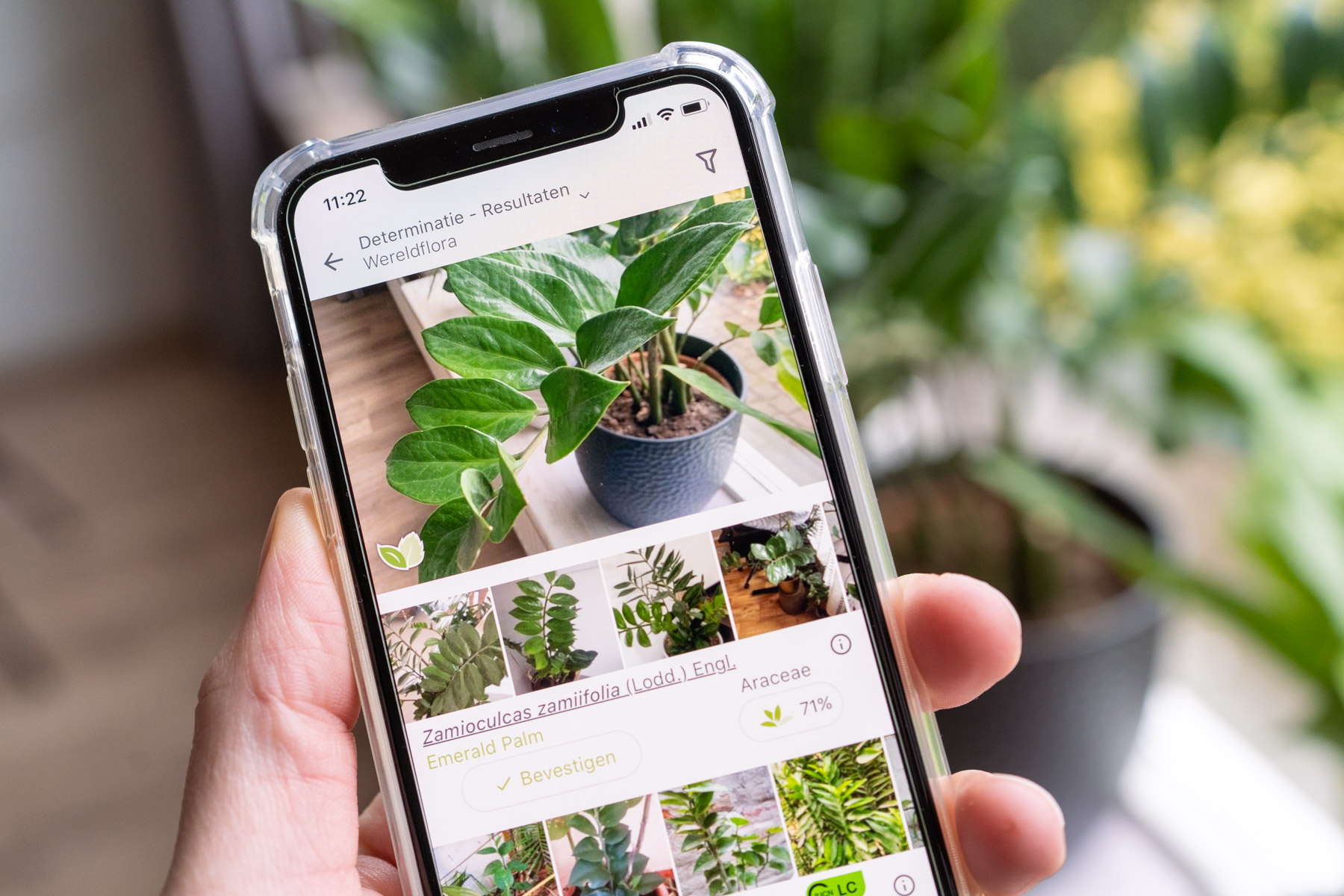 gevechten herberg Bengelen 8 (gratis) apps om planten te herkennen - Plantleven